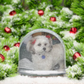 pixie popper snow globeSnow Globe Schneekugeln (Weihnachten)