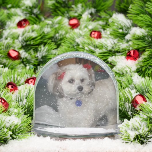 pixie popper snow globeSnow Globe Schneekugeln (Weihnachten)