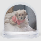 pixie popper snow globeSnow Globe Schneekugeln (Rückseite)