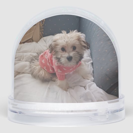 pixie popper snow globeSnow Globe Schneekugeln (Rückseite)