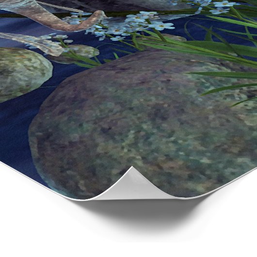 Pixie Power Silver Moon Poster (Ecke)