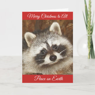 Pixie Raccoon Weihnachtsgrüße Weihnachtskarte Feiertagskarte