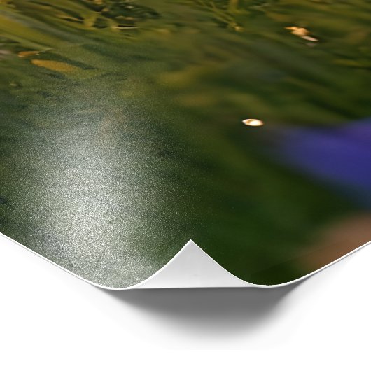 Pixie Robot Ballerina Tanzen in den Wildblumen Fotodruck (Ecke)