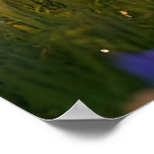 Pixie Robot Ballerina Tanzen in den Wildblumen Poster (Ecke)