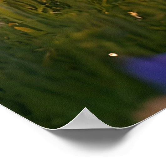 Pixie Robot Ballerina Tanzen in den Wildblumen Poster (Ecke)