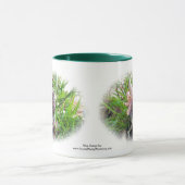 Pixie Tasse (Zentrum)