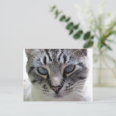 Pixie up nah postkarte (Stehend Vorderseite)