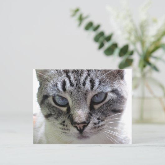 Pixie up nah postkarte (Stehend Vorderseite)