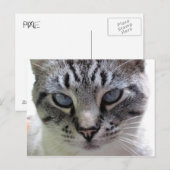Pixie up nah postkarte (Vorne/Hinten)