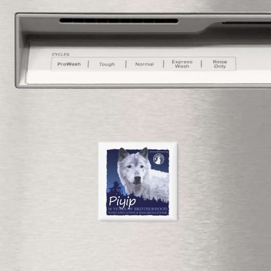 Piyip Magnet (In Situ (Geschirrspüler))