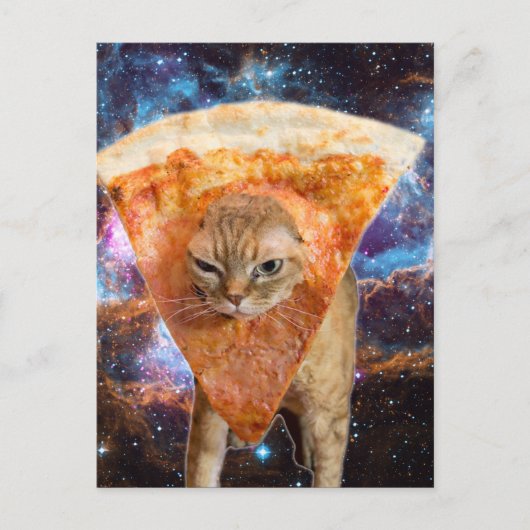 Pizza Cat in Space Wearing Pizza Slice Postkarte (Vorderseite)