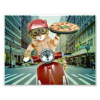 Pizza cat - Katze - Pizzeria
