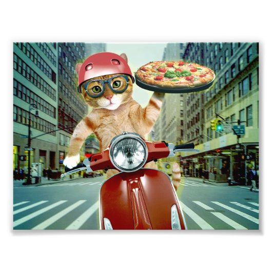 Pizza cat - Katze - Pizzeria Fotodruck (Vorne)