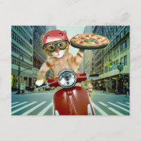 Pizza cat - Katze - Pizzeria