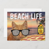 PIZZA GINGER CAT BEACH SUNGLASSEN POSTCARD POSTKARTE (Vorne/Hinten)