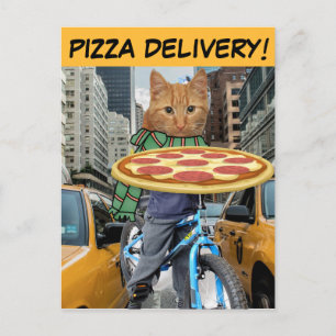PIZZA LIEFERT! CAT NYC POSTCARDS POSTKARTE