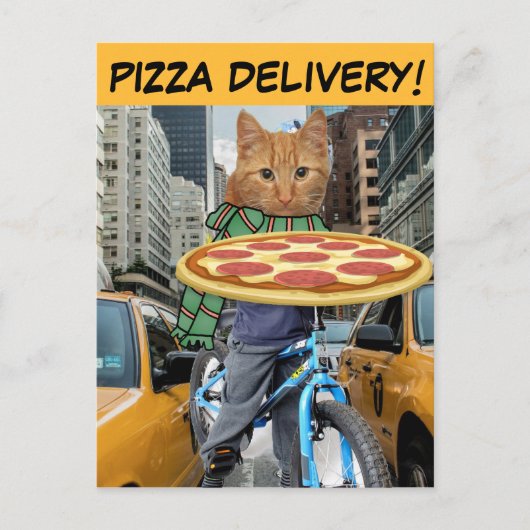 PIZZA LIEFERT! CAT NYC POSTCARDS POSTKARTE (Vorderseite)