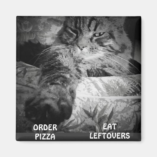 PIZZA ODER LEFTOVER? MAGNET (Vorne)