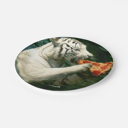 Pizza-Party - weiße Tiger essen Pizza Pappteller (Schrägansicht)