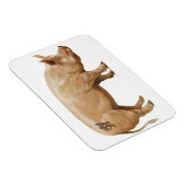 Pizzagemagnet Magnet (Rechte Seite)