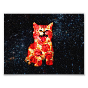 Pizzakatze im Weltraum Fotodruck