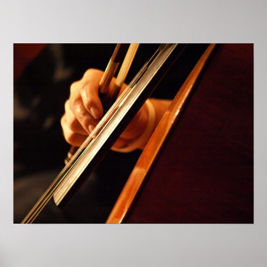 Pizzicato Poster (Vorne)