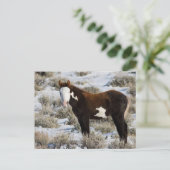 PJ Die Farbe Postkarte (Stehend Vorderseite)