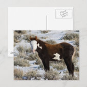 PJ Die Farbe Postkarte (Vorne/Hinten)