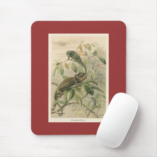 PJ-Smith - Chameleons Mousepad (Mit Mouse)