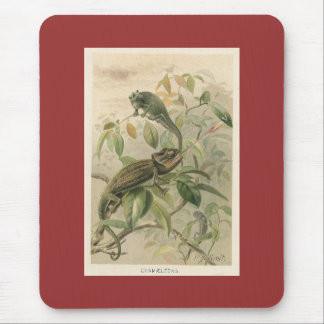 PJ-Smith - Chameleons Mousepad