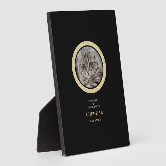 Placa con atril fotoplatte (Seite)