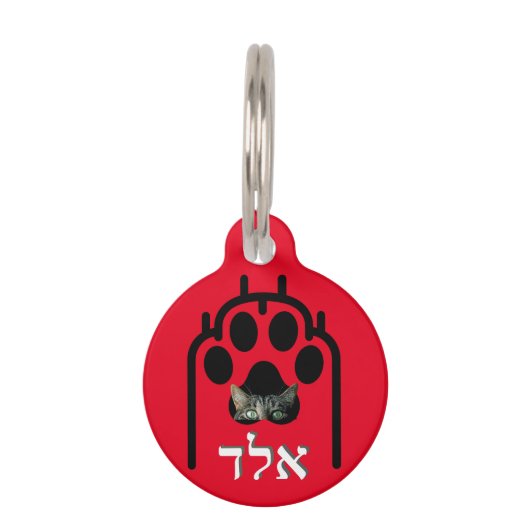 Placa para macotas Pequeña, ¨b'li ayin hara¨ Haustiermarke (Vorderseite)