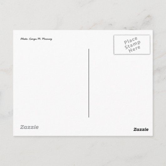 Place des Vosges Postkarte (Rückseite)