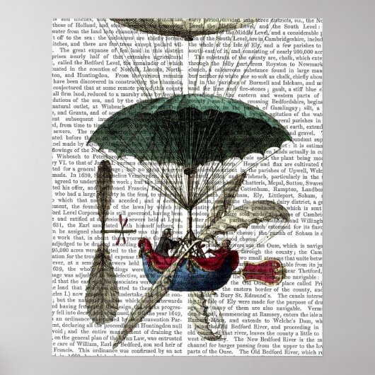 Place Du Louvre Hot Air Ballon Poster (Vorne)