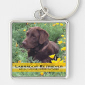 Placeholder Chocolate Lab Custom Photo and Text Schlüsselanhänger (Vorne)