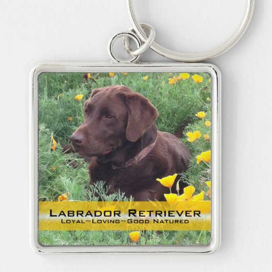 Placeholder Chocolate Lab Custom Photo and Text Schlüsselanhänger (Vorne)
