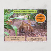 Placerien - * Dinosaurier - Lernkarte Postkarte (Rückseite)