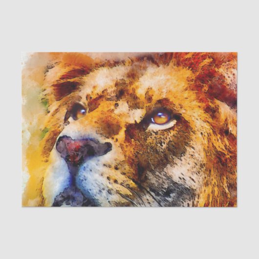 Placid Lion Face Seidenpapier (Vorderseite)