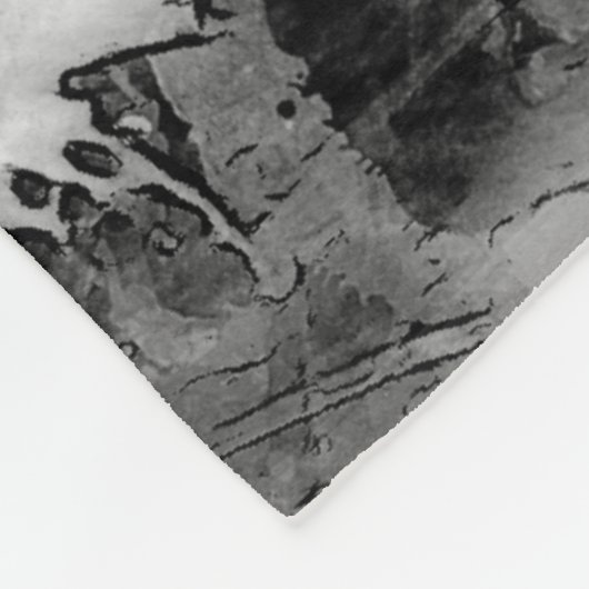 Placid Lion Face Silver Fleecedecke (Ecke)