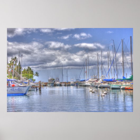 Placid Maui Harbor Poster (Vorne)