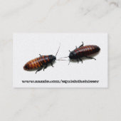 Plage-Kontrollen-Geschäfts-Karten Visitenkarte (Rückseite)