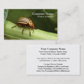 Plage-Kontrollen-Geschäftskarte Visitenkarte (Vorne/Hinten)