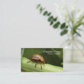 Plage-Kontrollen-Geschäftskarte Visitenkarte (Stehend Vorderseite)