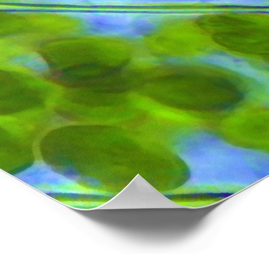 Plagiomnium Affine Pflanze Zellen mit Chloroplaste Poster (Ecke)