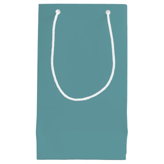 Plain Teal Background Kleine Geschenktüte (Vorderseite)