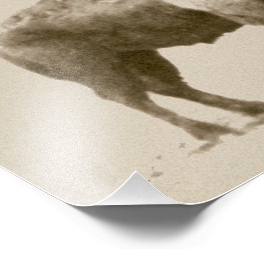 Plains Bison Fotodruck (Ecke)