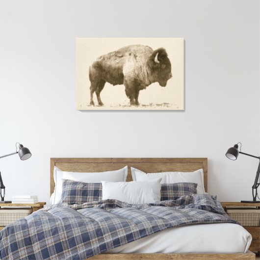 Plains Bison Leinwanddruck (Insitu (Schlafzimmer))