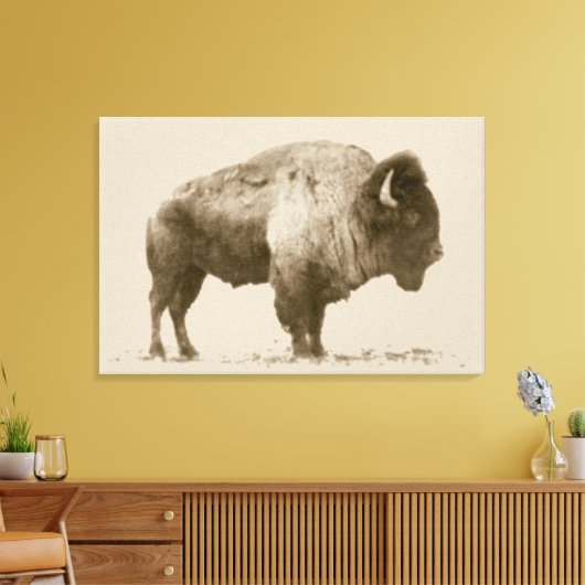 Plains Bison Leinwanddruck (Insitu (Wohnzimmer))