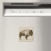 Plains Bison Magnet (In Situ (Geschirrspüler))