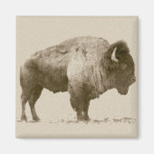 Plains Bison Magnet (Vorne)
